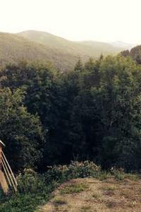 Historic small business support package unveiled