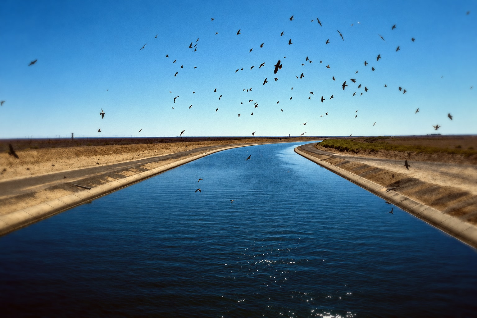 Hilton backs more dams and looser water rules