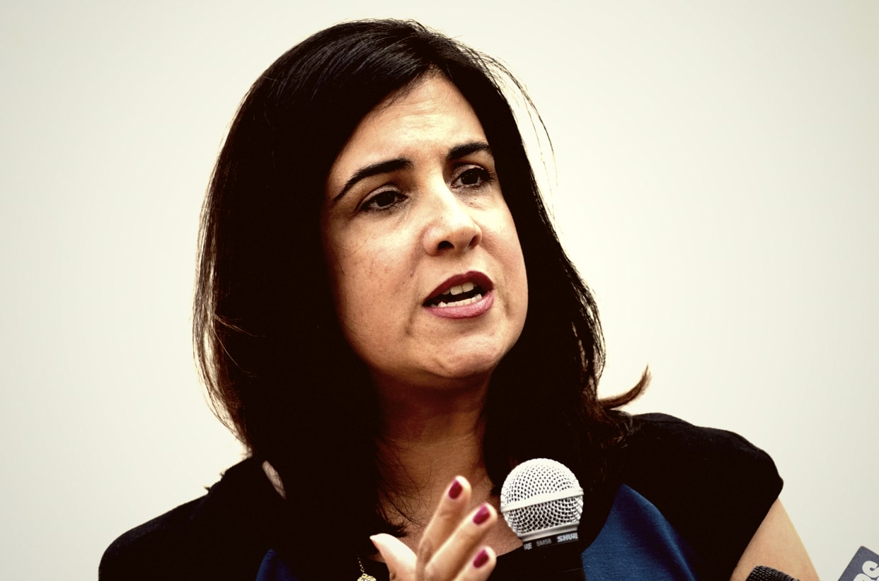 Malliotakis Quits Bipartisan Caucus After Museum Bill Fails