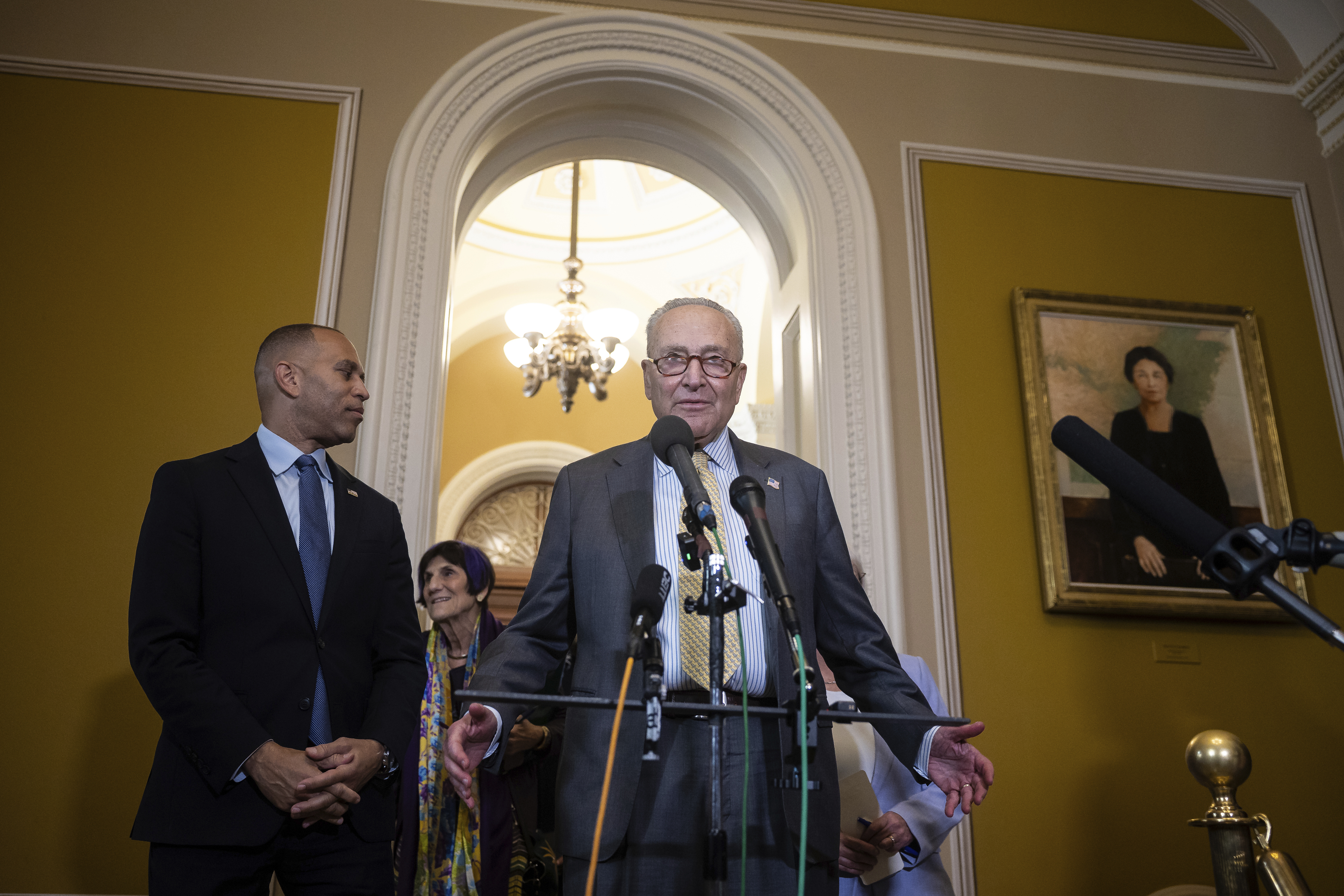 Schumer Demands Federal Investigation Into Fatal Minneapolis ICE Shooting